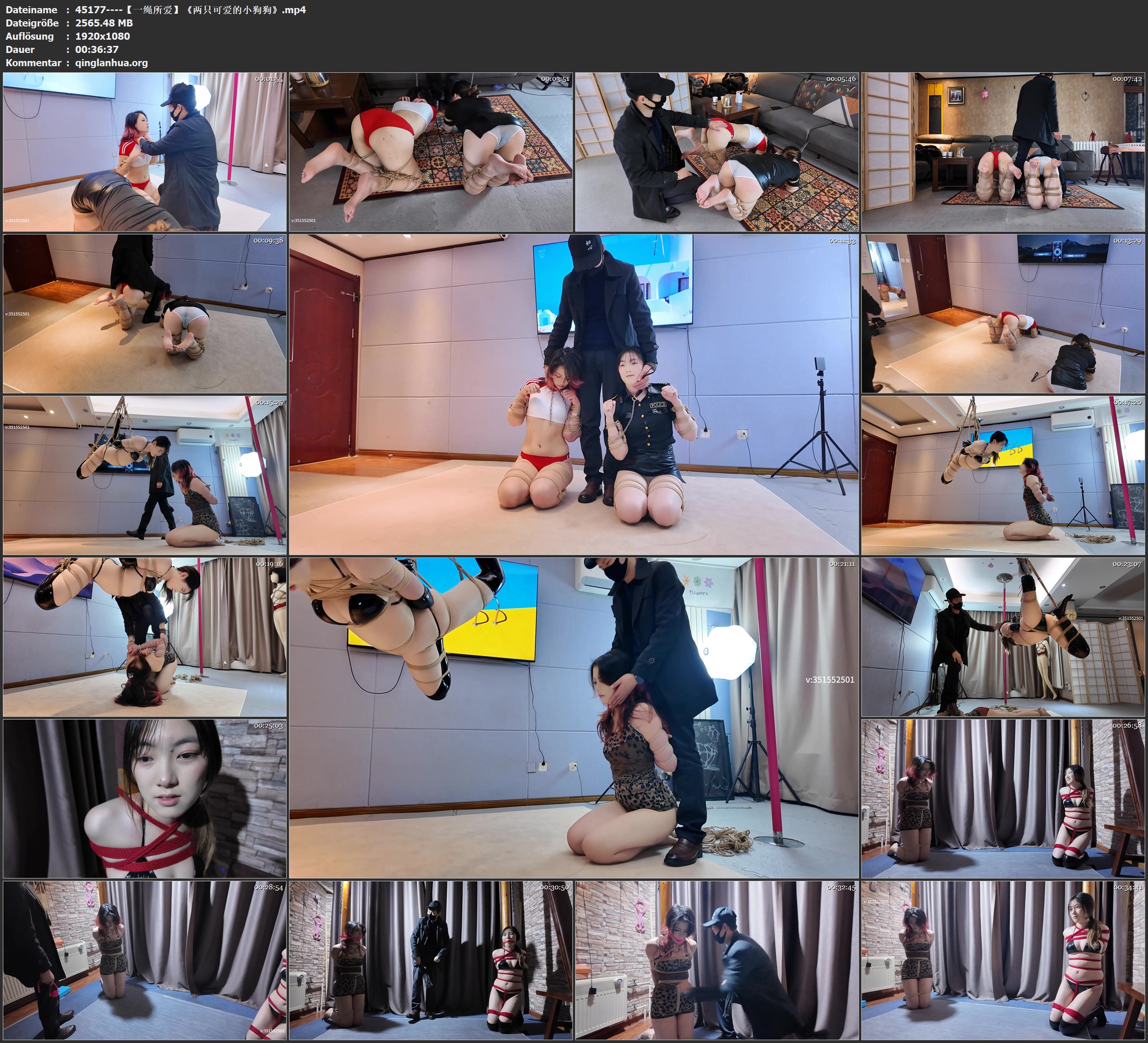 45177----【一绳所爱】《两只可爱的小狗狗》.jpg