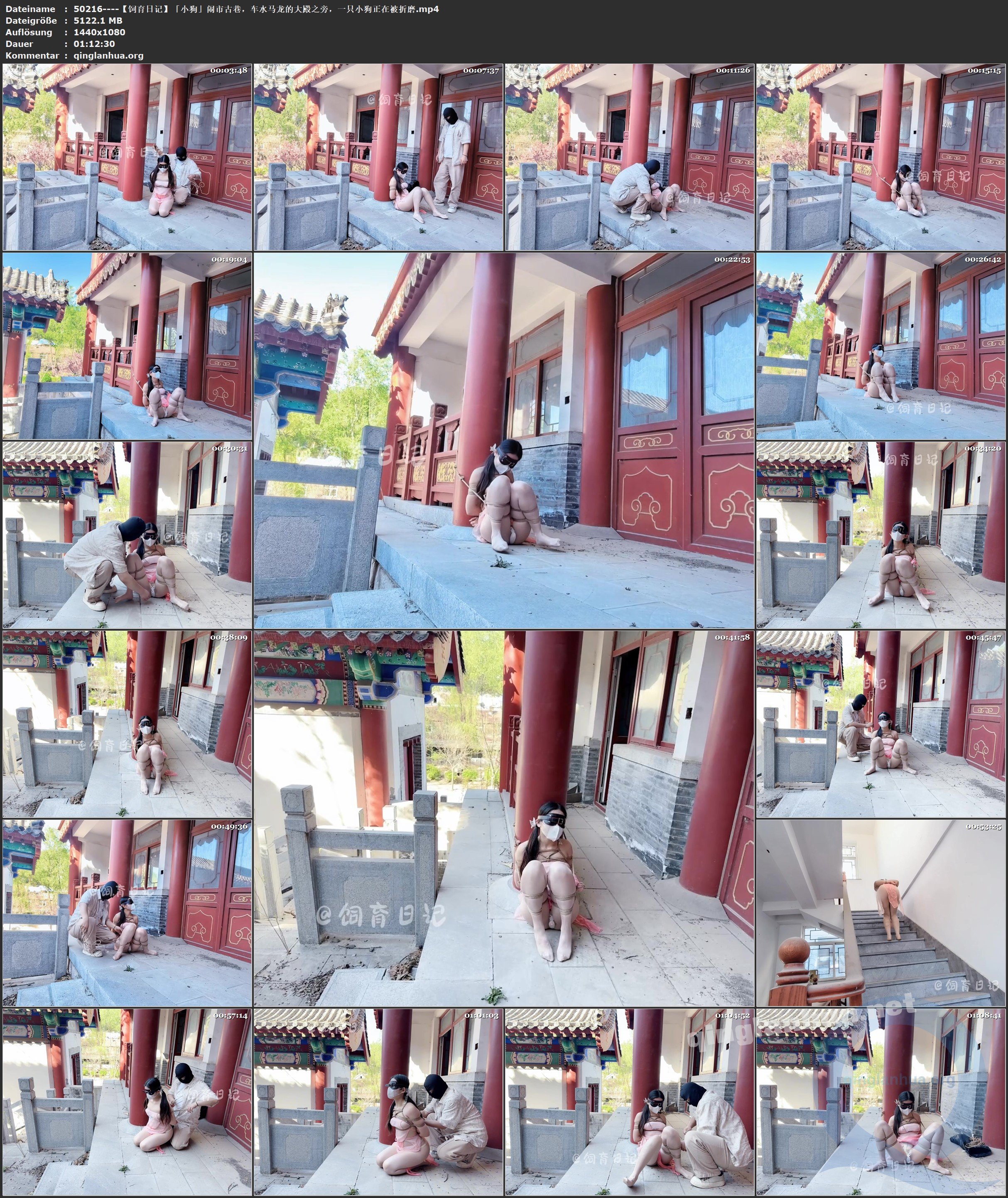 50216----【饲育日记】「小狗」闹市古巷，车水马龙的大殿之旁，一只小狗正在被折磨.jpg